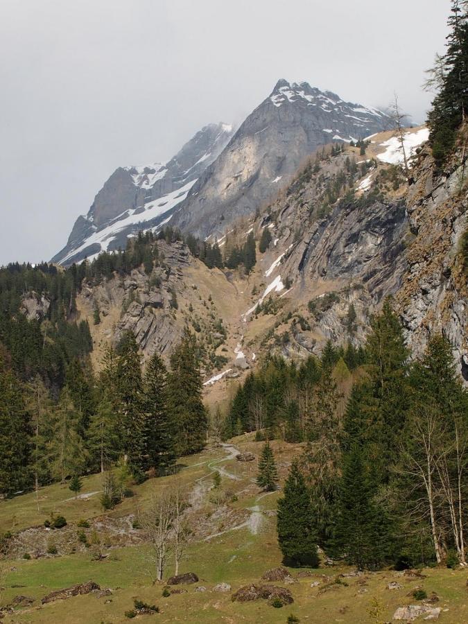 Riversong Centre Thermal Les Plans-sur-Bex Dış mekan fotoğraf