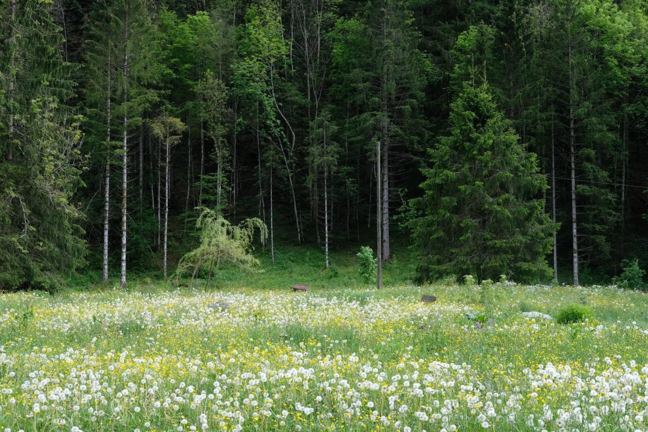 Riversong Centre Thermal Les Plans-sur-Bex Dış mekan fotoğraf